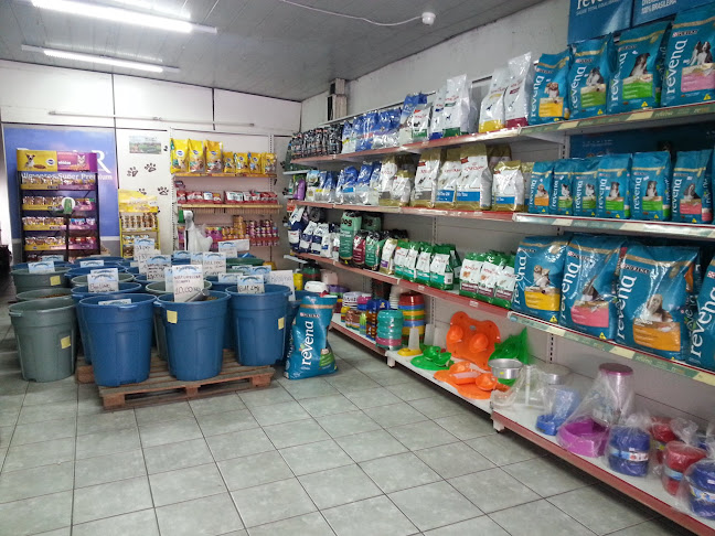 Pet Mania - Recife