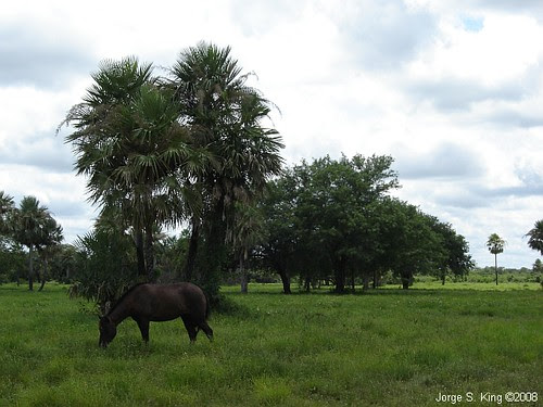 Rancho Caranda