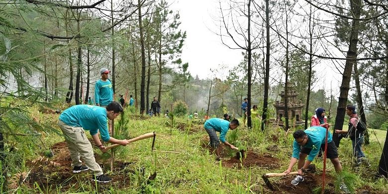 Melestarikan Hutan: Sebuah Tanggung Jawab Bersama untuk Bumi Kita