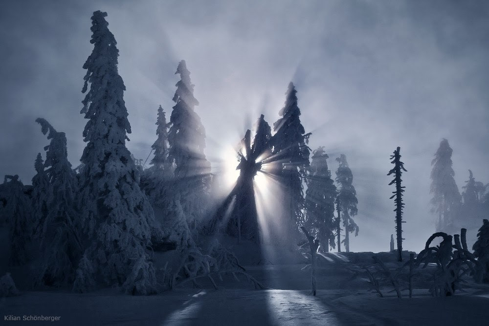 Подборка лучших фотографий Подборка лучших фотографий
