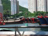 photo zh1185_zps0bcb441f.jpg