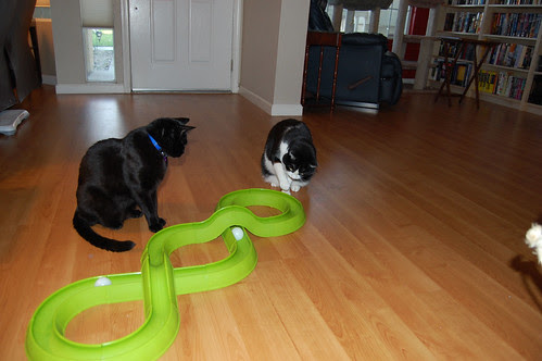 They check out the Turbo Tack