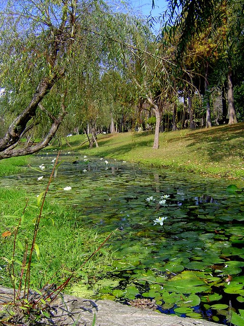 巴克禮公園/無限台南