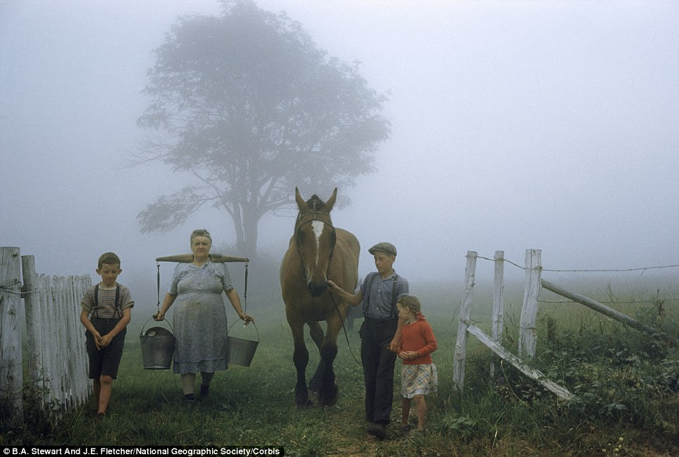 Morning glory: Mother carries milk pails on her shoulders while the children lead a horse on a foggy morning walk in Quebec, Canada in 1950