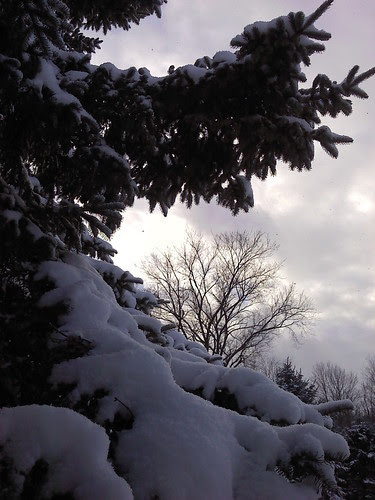 Snow in the Southern Tier