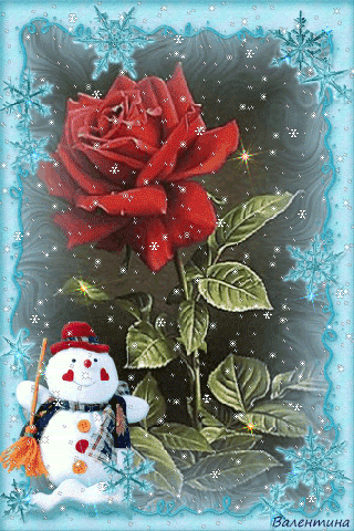 Роза и снег