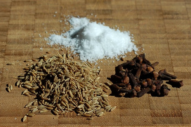 Cumin seeds, cloves and salt by Eve Fox, Garden of Eating blog, copyright 2011