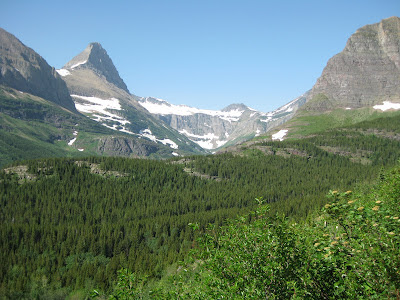 View to Iceberg Lake View to Iceberg Lake