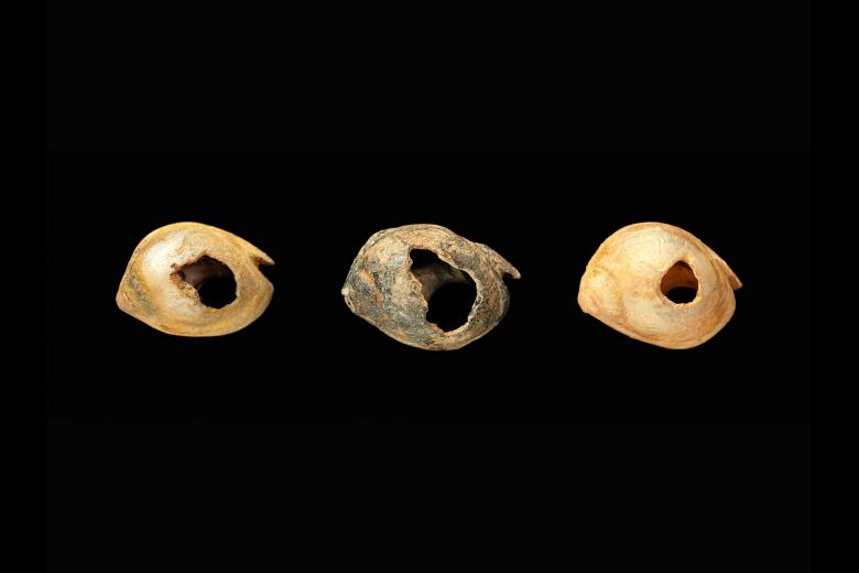 Resultado de imagen para antique Nassarius beads
