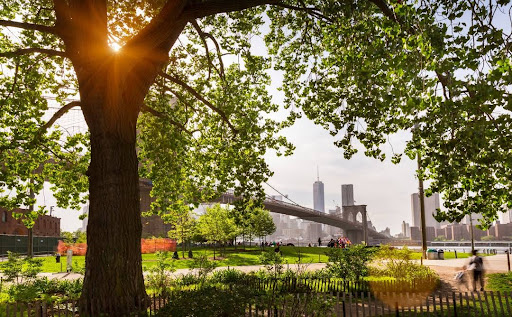 Park «Brooklyn Bridge Park», reviews and photos, 334 Furman St, Brooklyn, NY 11201, USA