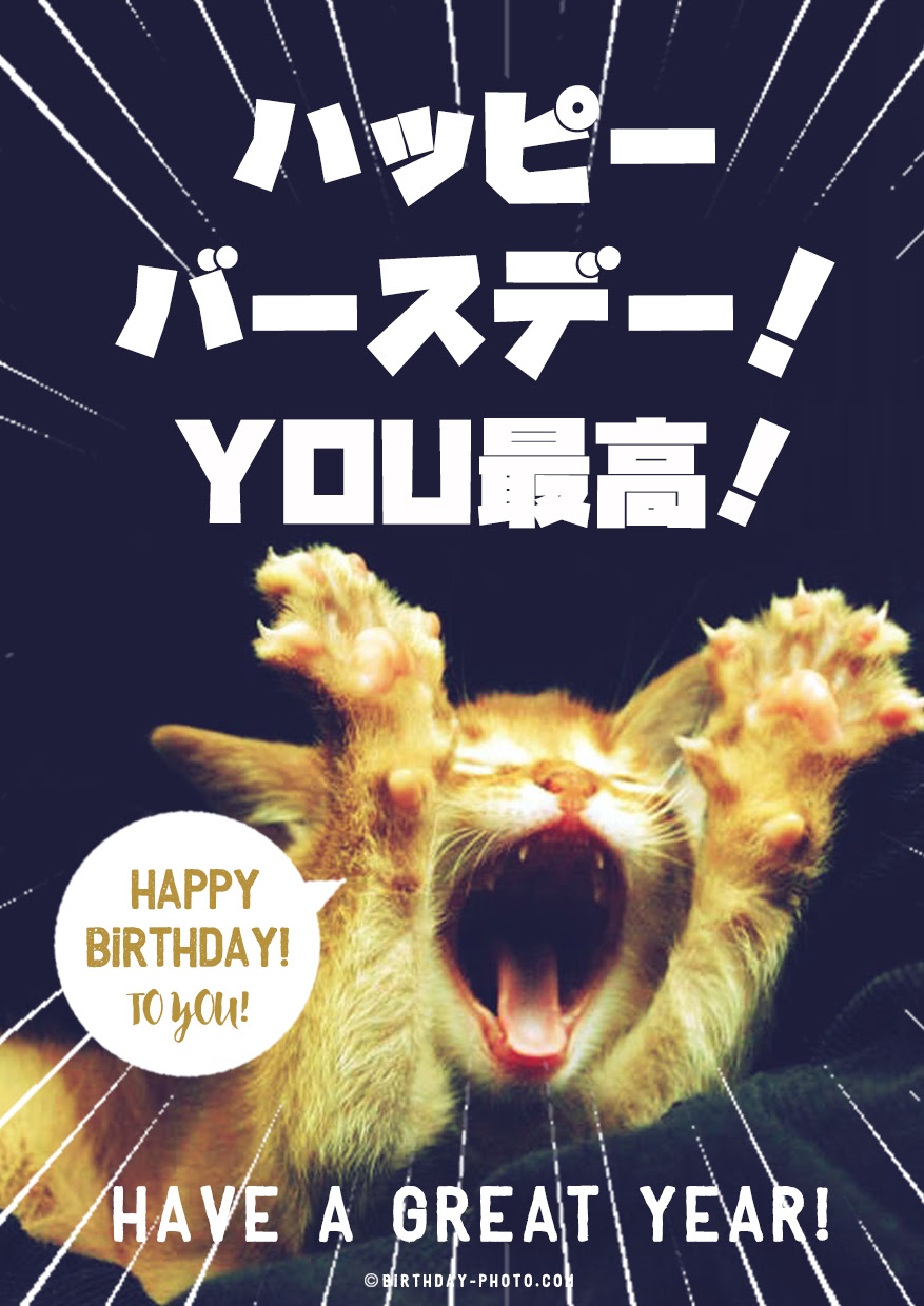 無料ダウンロード誕生 日 メッセージ 面白い すべての動物画像
