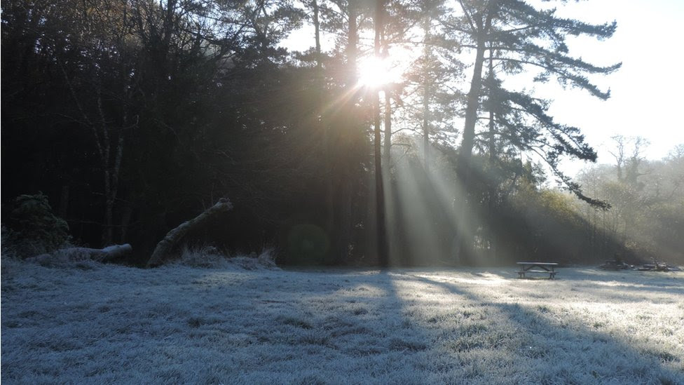 Frost on grass in the foreground. Sunlight streams through the trees above.