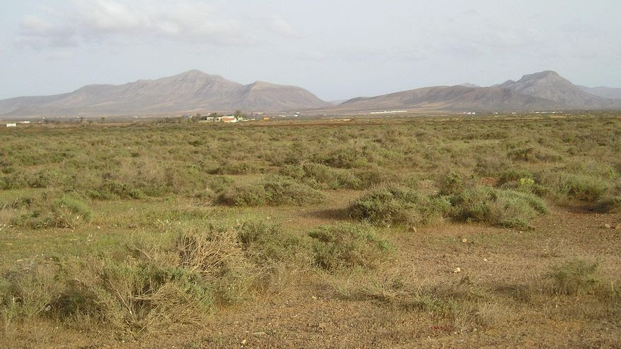 Llanos de mafasca, Antigua. | © José Gregorio González