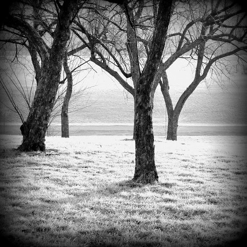 frosty sunrise 2