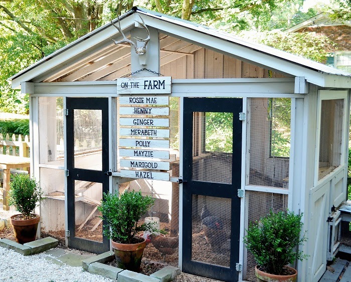 diy-chicken-run-door