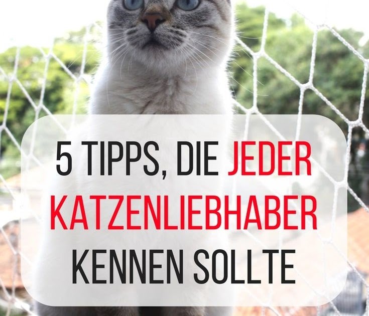 Welches Tier Wühlt Nachts Im Garten Germany Garten
