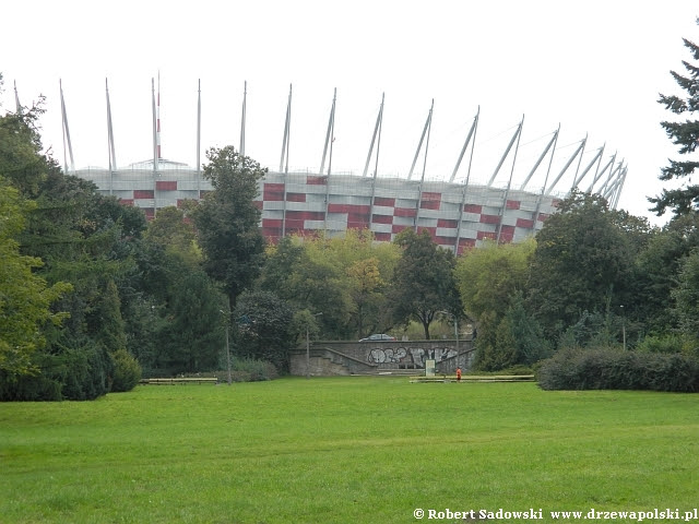 Stadion Narodowy Stadion Narodowy