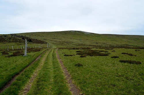To the top of Mont Lozère