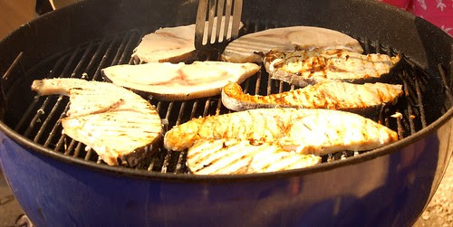 pesce