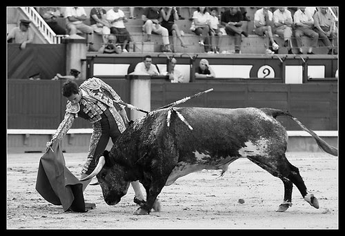 Luis de Pauloba. Derechazo