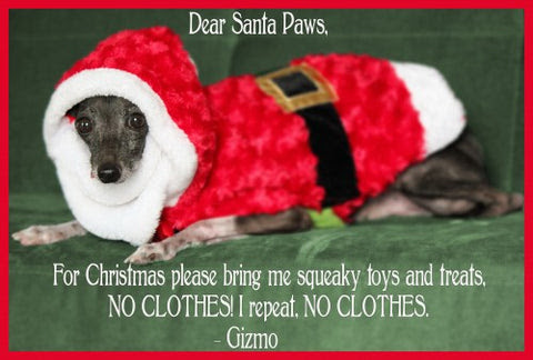 Funny Pet Memes Christmas - Pet's Gallery