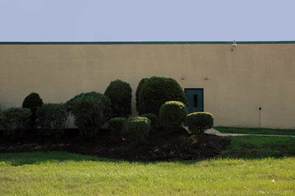 bushes in front of door tech school2-4web