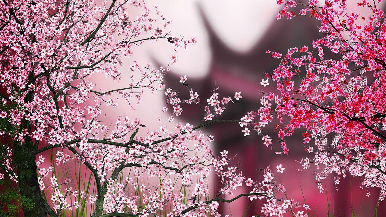 Kumpulan Wallpaper Lukisan Bunga Sakura Download Koleksi Wallpaper