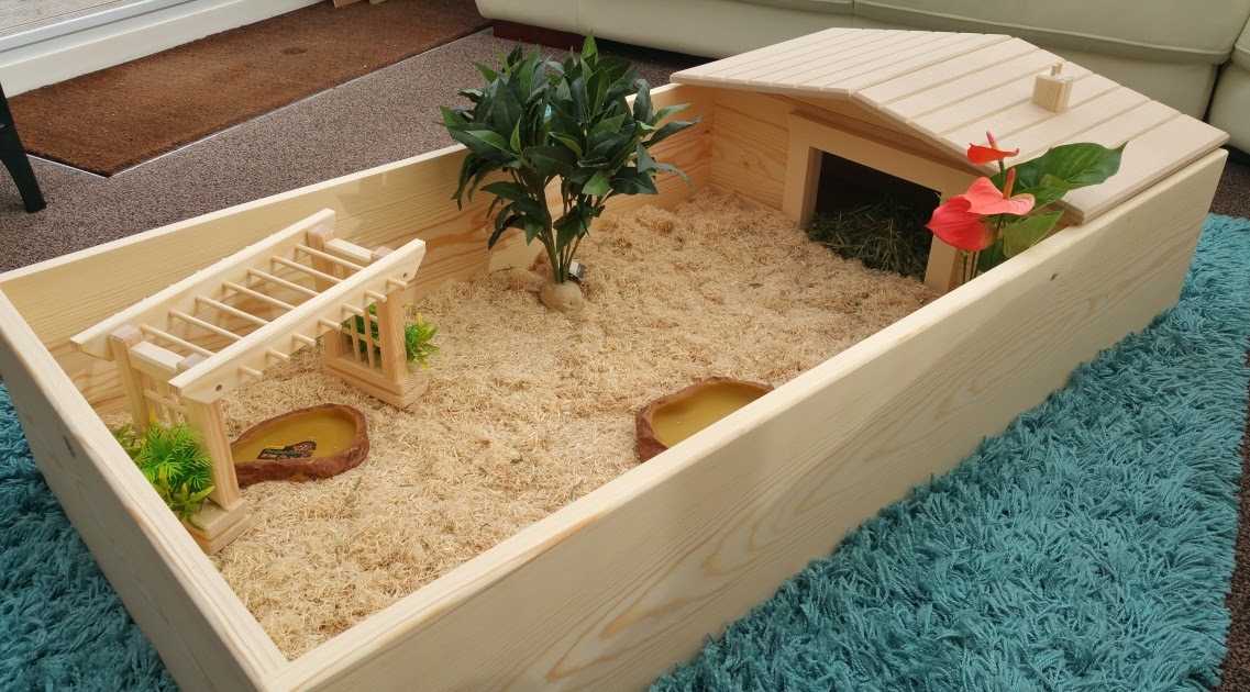 tortoise-table-diy-tortoise-house-plans-or-diy-tortoise-table-tortoise-tables-it