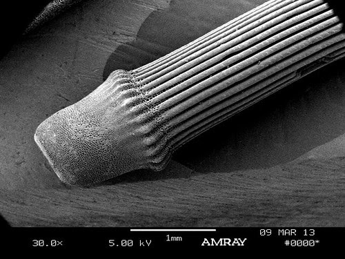 Spike-1