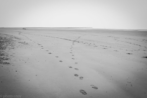 Sea