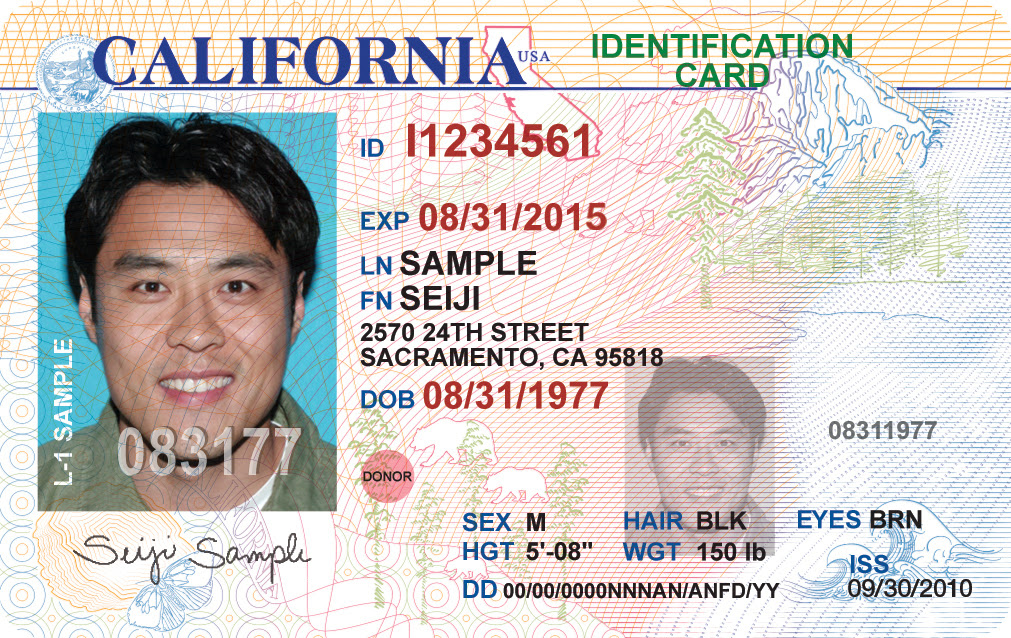 california-identification-card-template-flyer-template