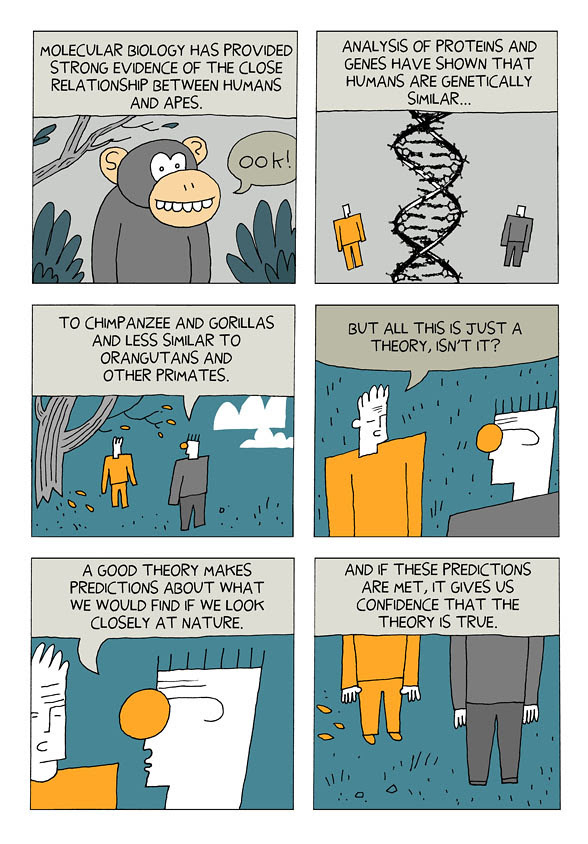 evolution 4