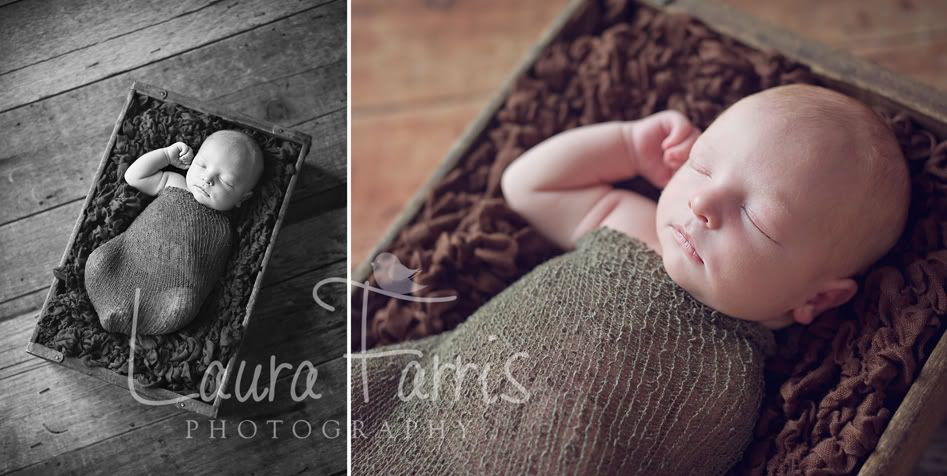 Idaho newborn photographers