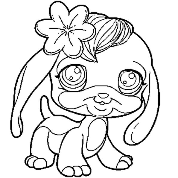 Dessin Kawaii Coloriage A Imprimer De Chiot Labrador