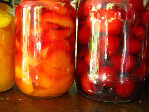 kompot