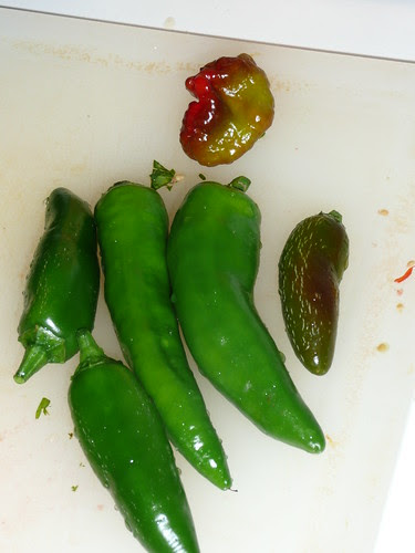 P1020009