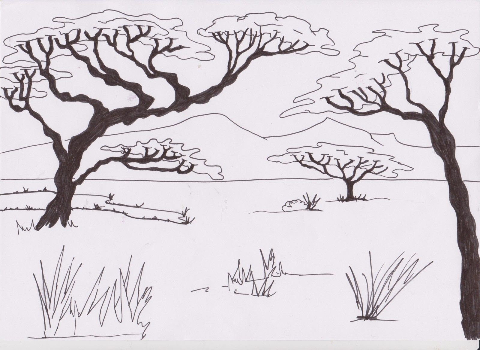 Nouveau Coloriage De La Savane A Imprimer  Des Milliers de Coloriage