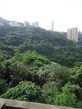photo zh1165_zpsc3af9cd8.jpg