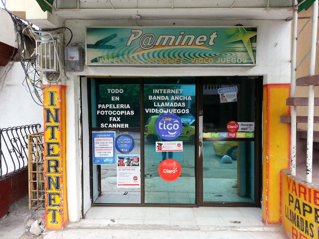 PAMINET.COM
