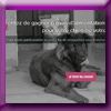 VIRBAC - GAGNEZ 6 MOIS D'ALIMENTATION VIRBAC - GAGNEZ 6 MOIS D'ALIMENTATION
