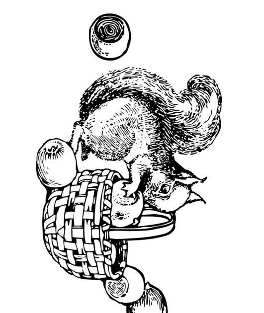 ausmalbild eichhornchen mit nuss  cartoonbild