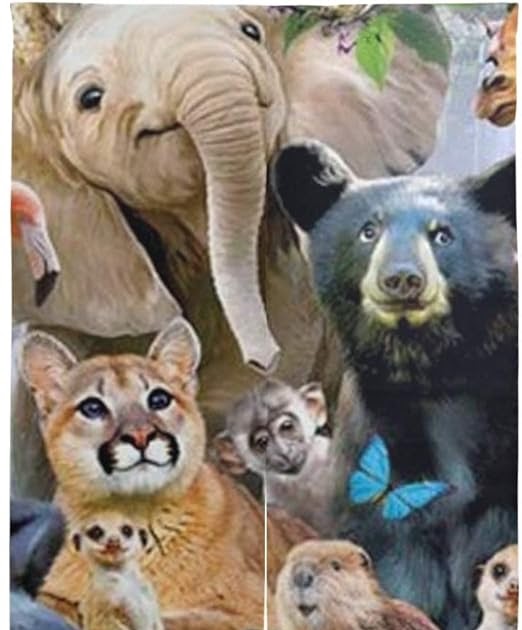 √70以上 面白い 画像 動物 302411動物 世界 一 面白い 画像 gazojpcube