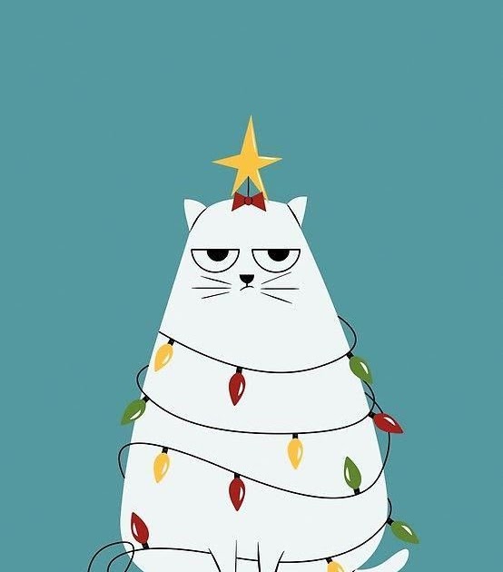 Grumpy Cat Funny Christmas Zoom Backgrounds - Cat Mania