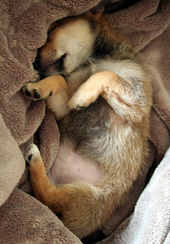 don't wake the sleeping baby