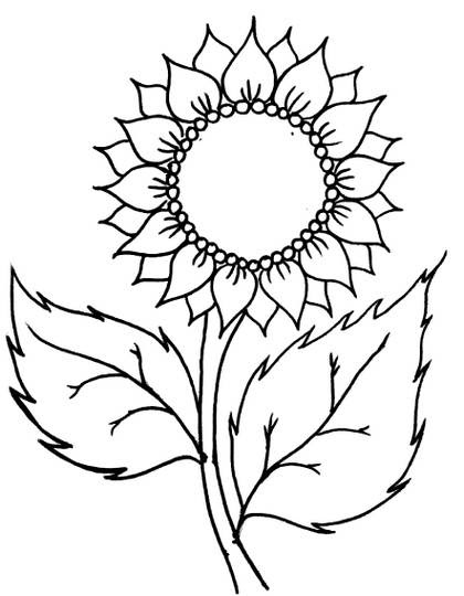 Gambar Bunga Matahari Sketsa Kolase - Koleksi Gambar Bunga