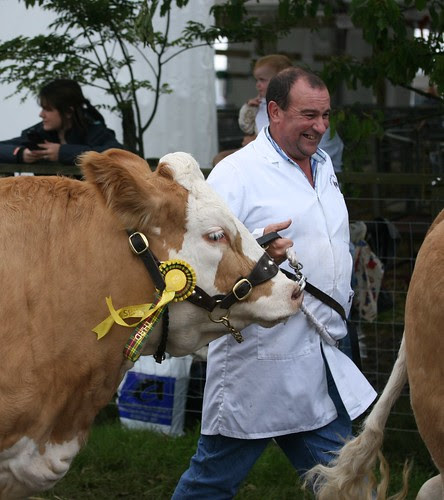 Cattle Parade
