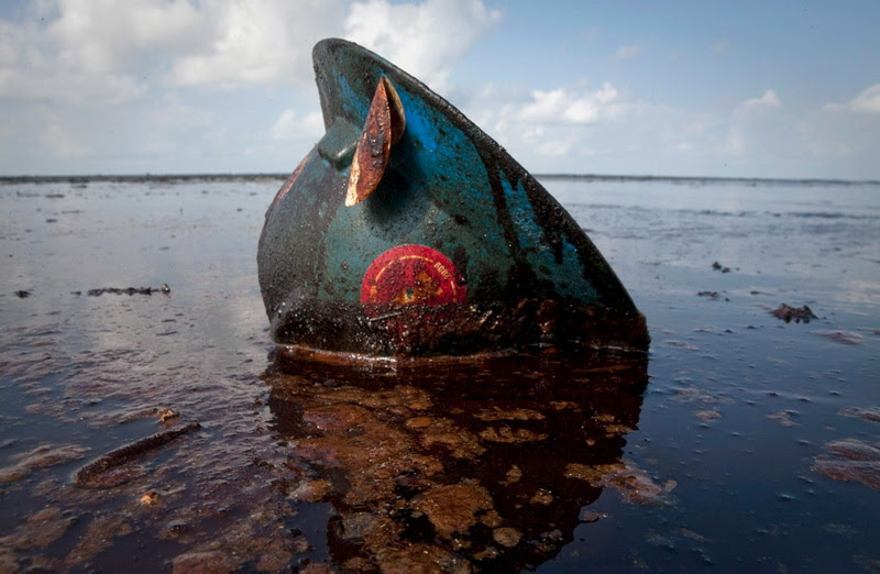 Scenes from the Gulf of Mexico