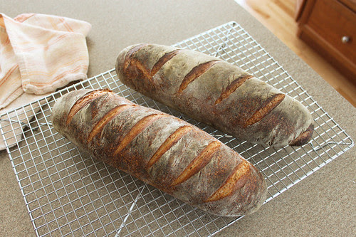 Rustic Sourdough & Sourdough English Muffins | The Fresh Loaf