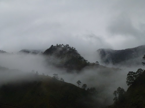 Rice Terraces