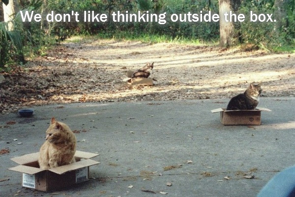 We don't like thinking outside the box.